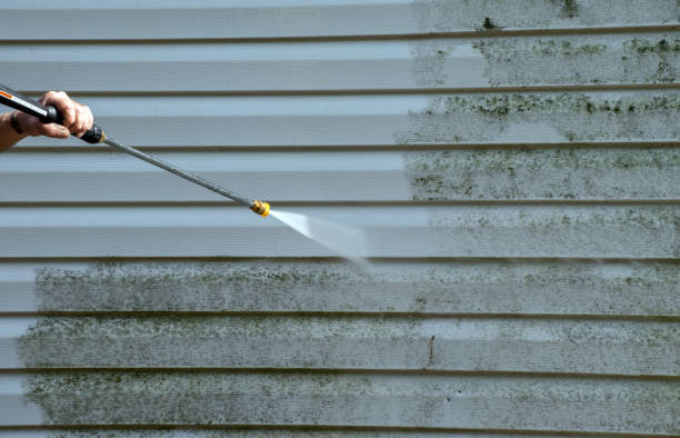 Best Roof Power Washing Services  in Davie, FL