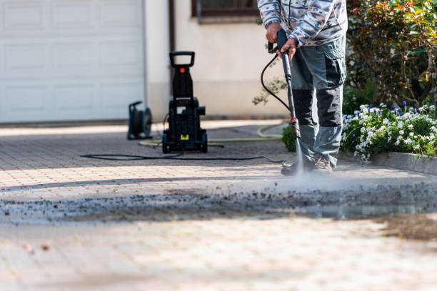 Best Roof Pressure Washing  in Davie, FL