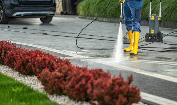 Best Residential Pressure Washing Services  in Davie, FL